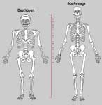 Skeleton Comparison